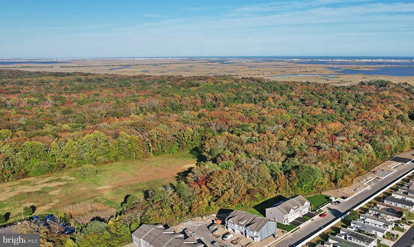 7 Dalton Way Rio Grande, NJ 08242 - Photo 41 of 52