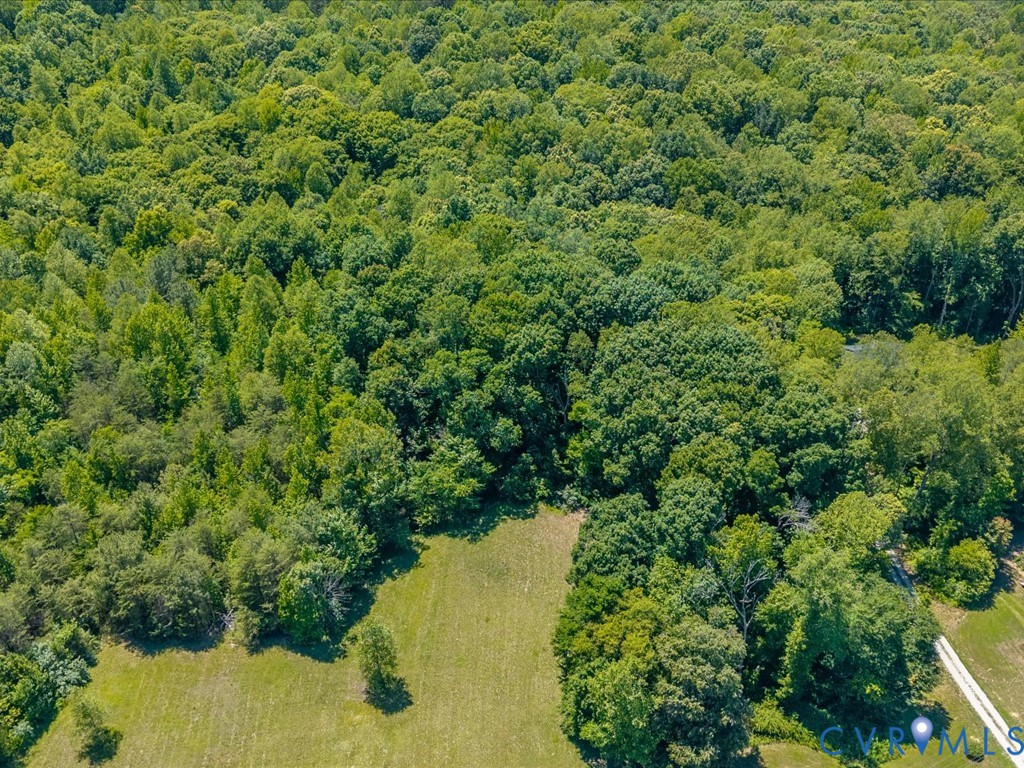 0 Bell Road Powhatan, VA 23139 - Photo 8 of 21
