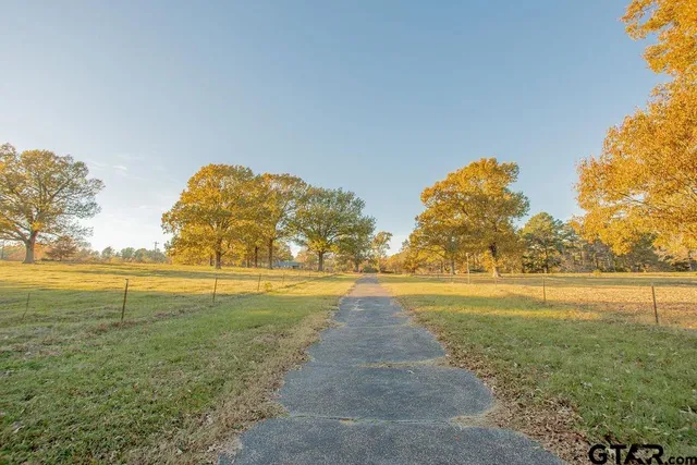 a view of yard with green space
