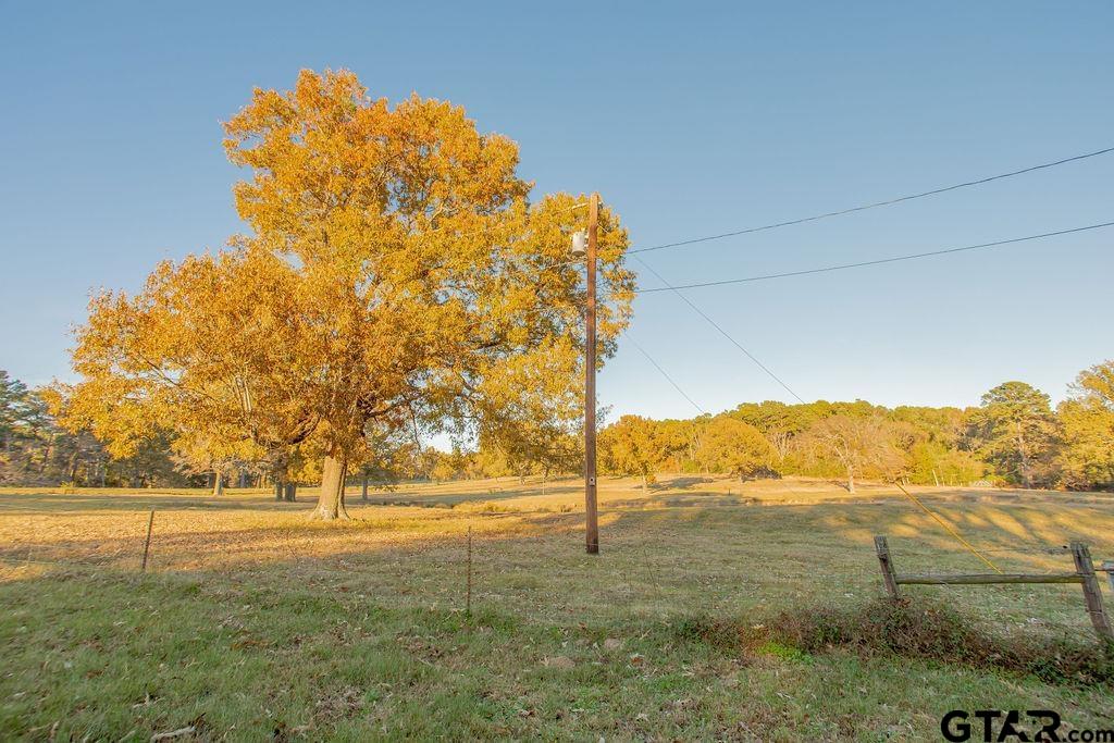 12575 FM 3271 Tyler, TX 75704 - Photo 41 of 47 a view of yard with green space