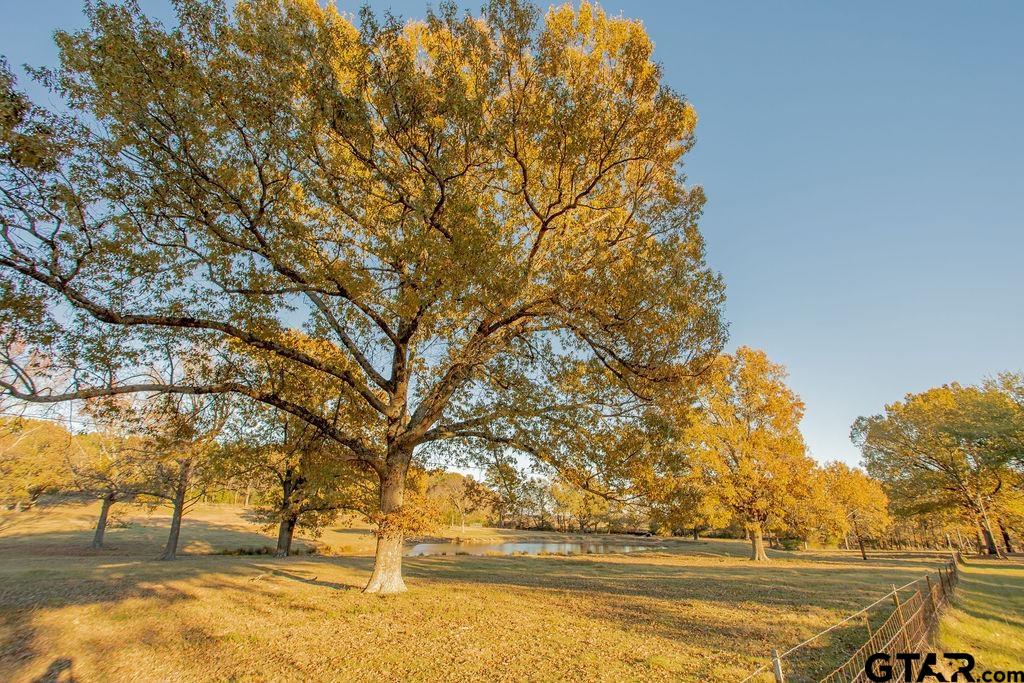 12575 FM 3271 Tyler, TX 75704 - Photo 43 of 47 a view of yard with trees