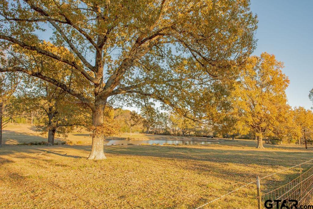 12575 FM 3271 Tyler, TX 75704 - Photo 45 of 47 a view of yard with large trees