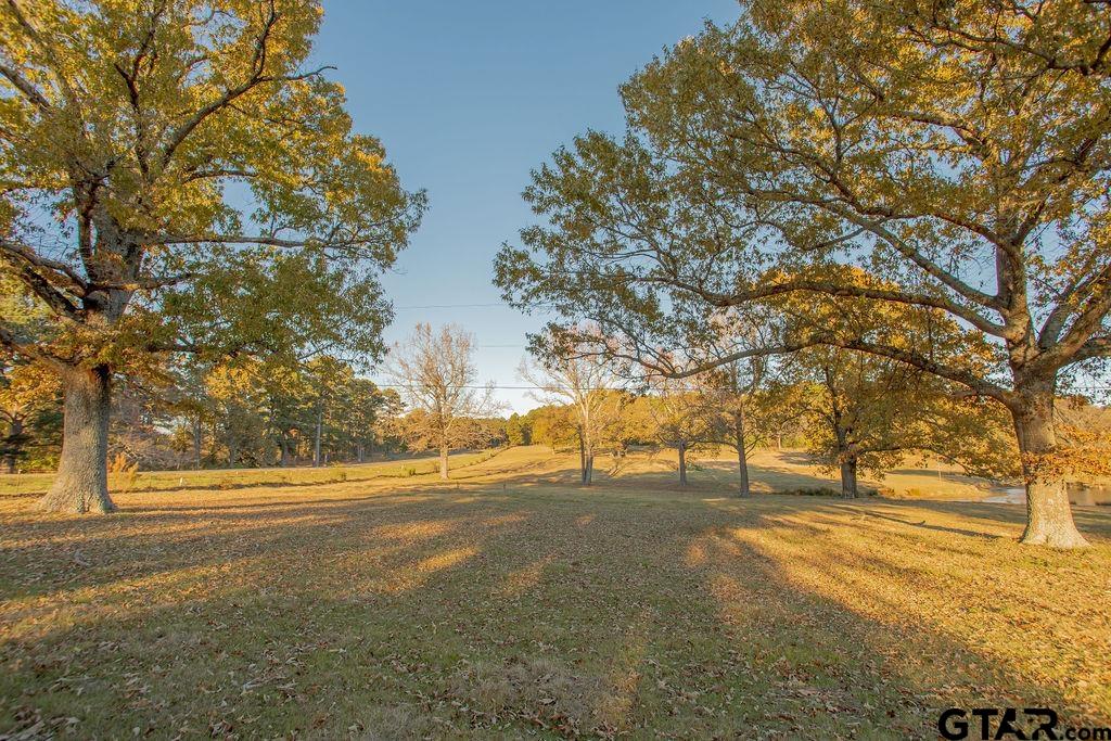 12575 FM 3271 Tyler, TX 75704 - Photo 46 of 47 a view of road with large trees