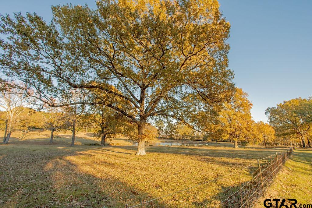 12575 FM 3271 Tyler, TX 75704 - Photo 47 of 47