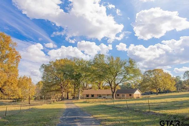 a view of big yard and large trees