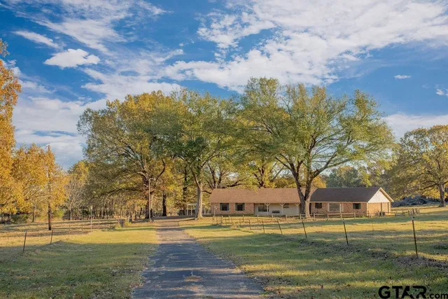 a big yard with large trees