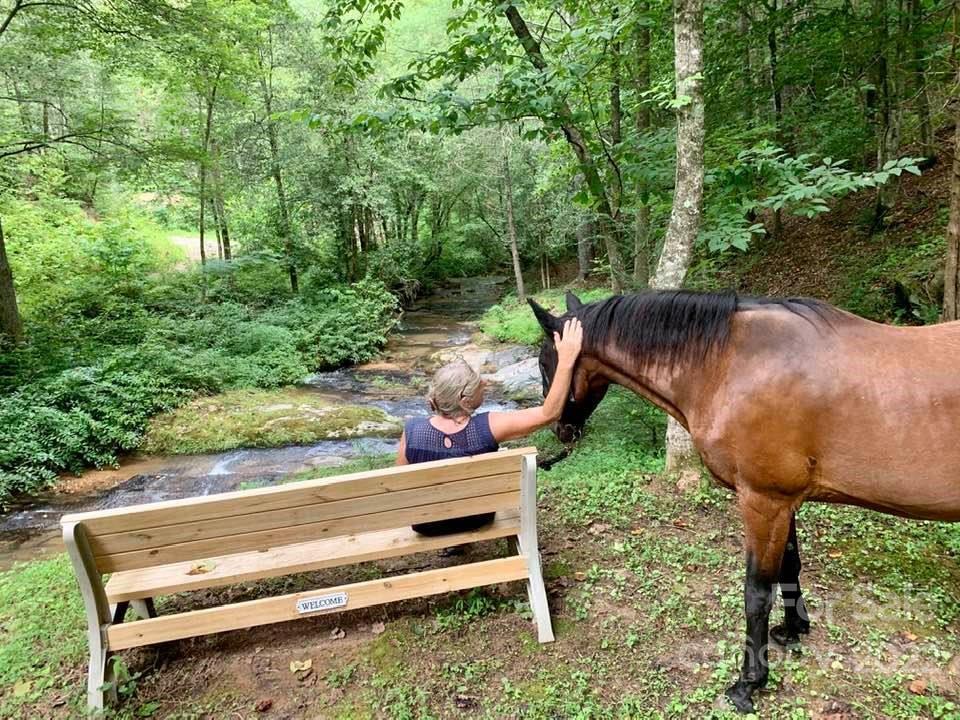 1705 High Country Road Lenoir, NC 28645 - Photo 45 of 48 Gallery Image 45
