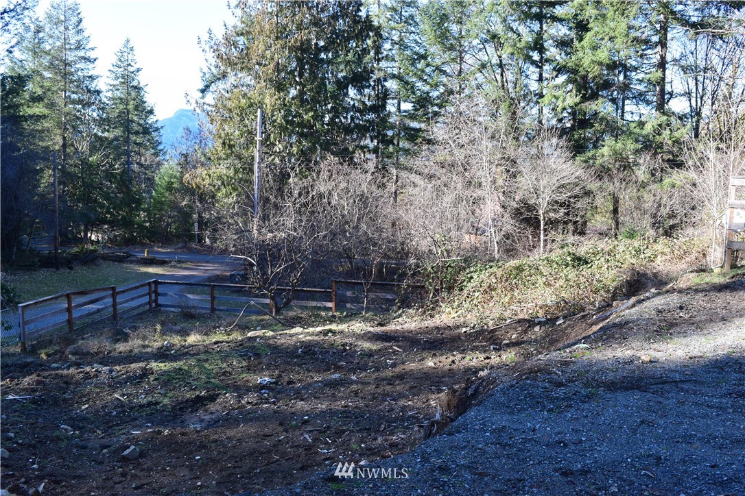 155 Powerhouse Road Packwood, WA 98361 - Photo 5 of 9