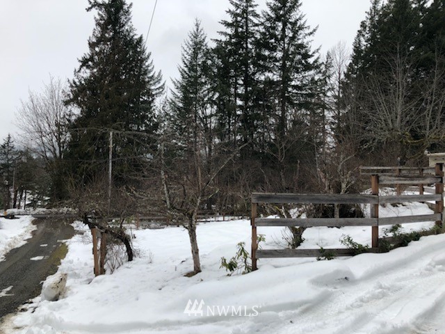 155 Powerhouse Road Packwood, WA 98361 - Photo 8 of 9