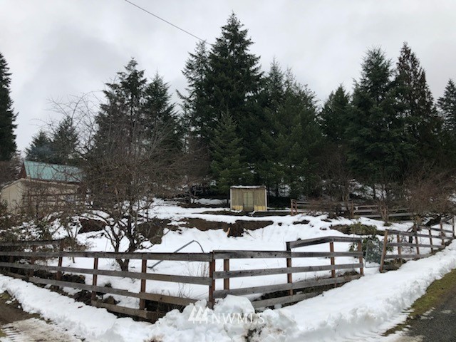 155 Powerhouse Road Packwood, WA 98361 - Photo 9 of 9