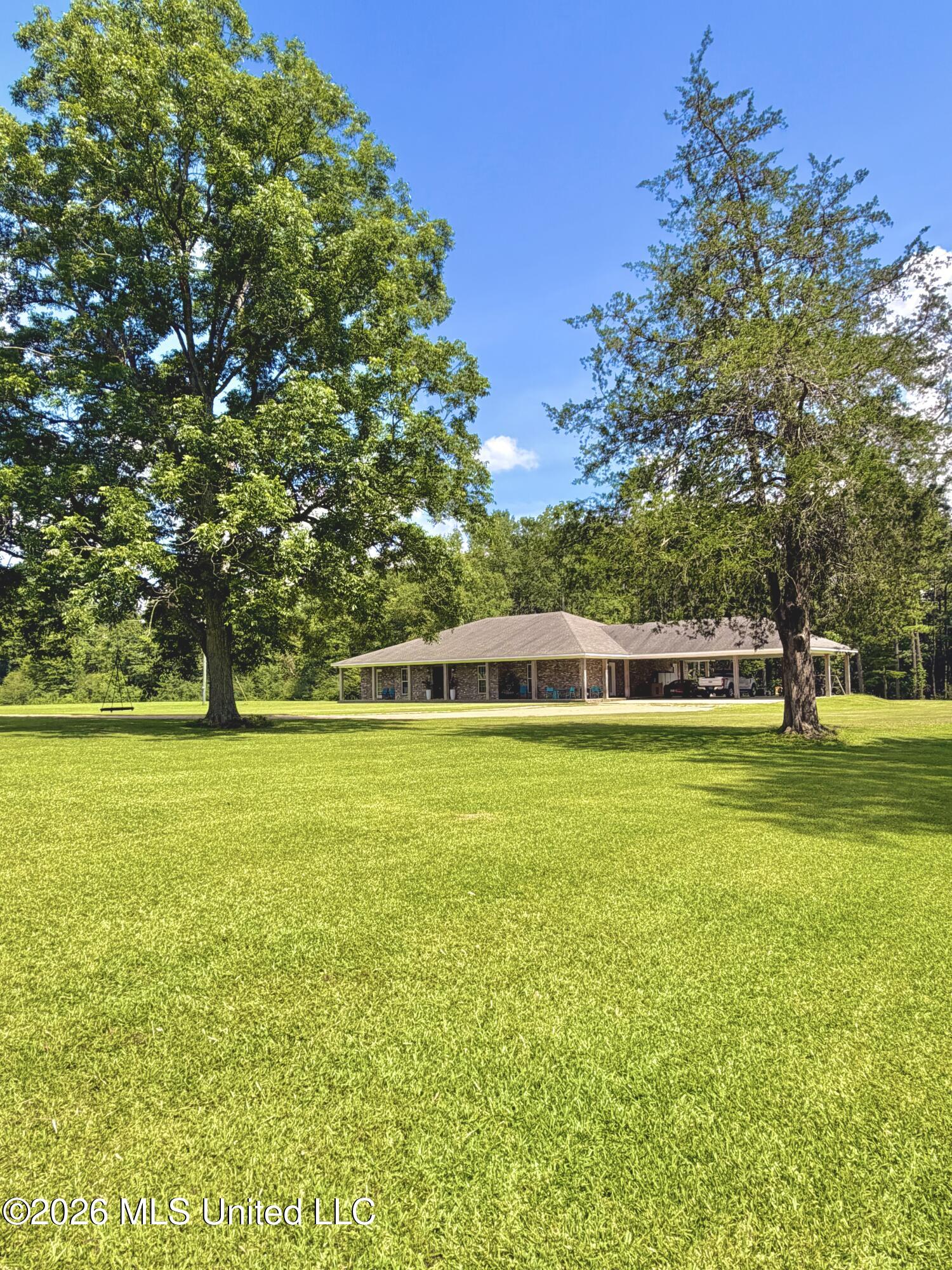 464 Goss Bunker Hill Road Columbia, MS 39429 - Photo 7 of 32 JuneFrontBambooSide