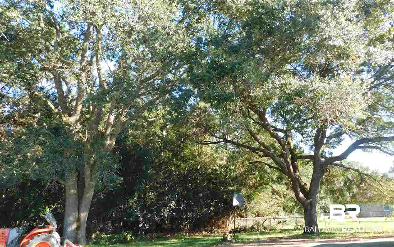 19814 Keller Road Foley, AL 36535 - Photo 16 of 30 Yard