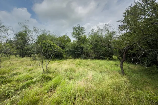 a view of outdoor space and trees