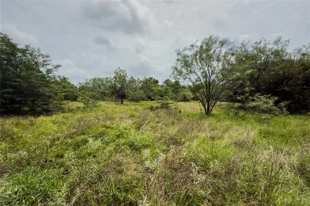 a view of a field with an trees