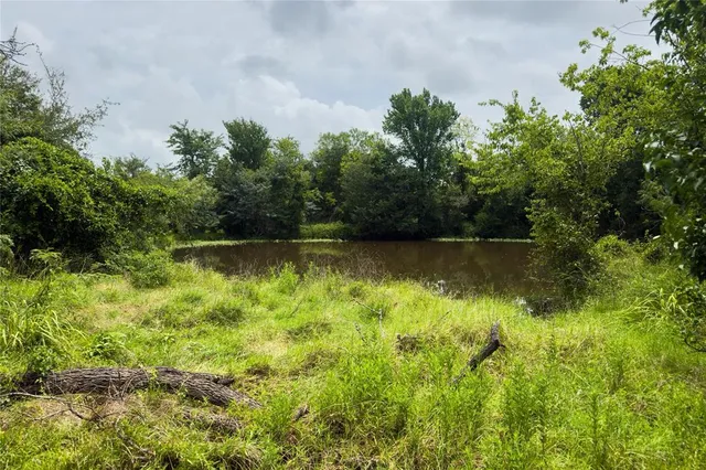 a view of a lake with a yard and large trees