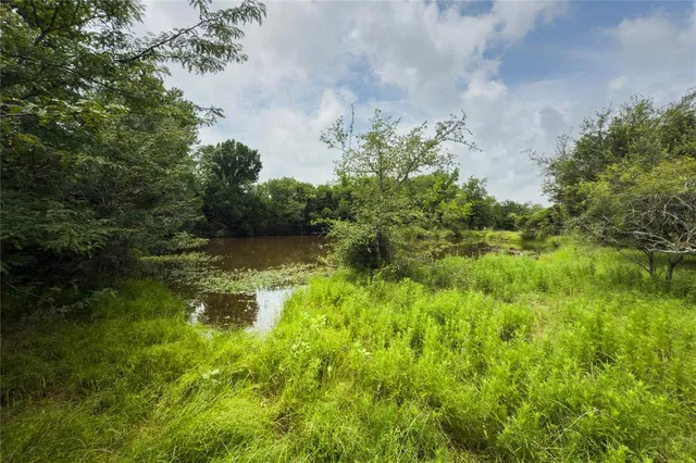 a view of a water pond with lots of trees