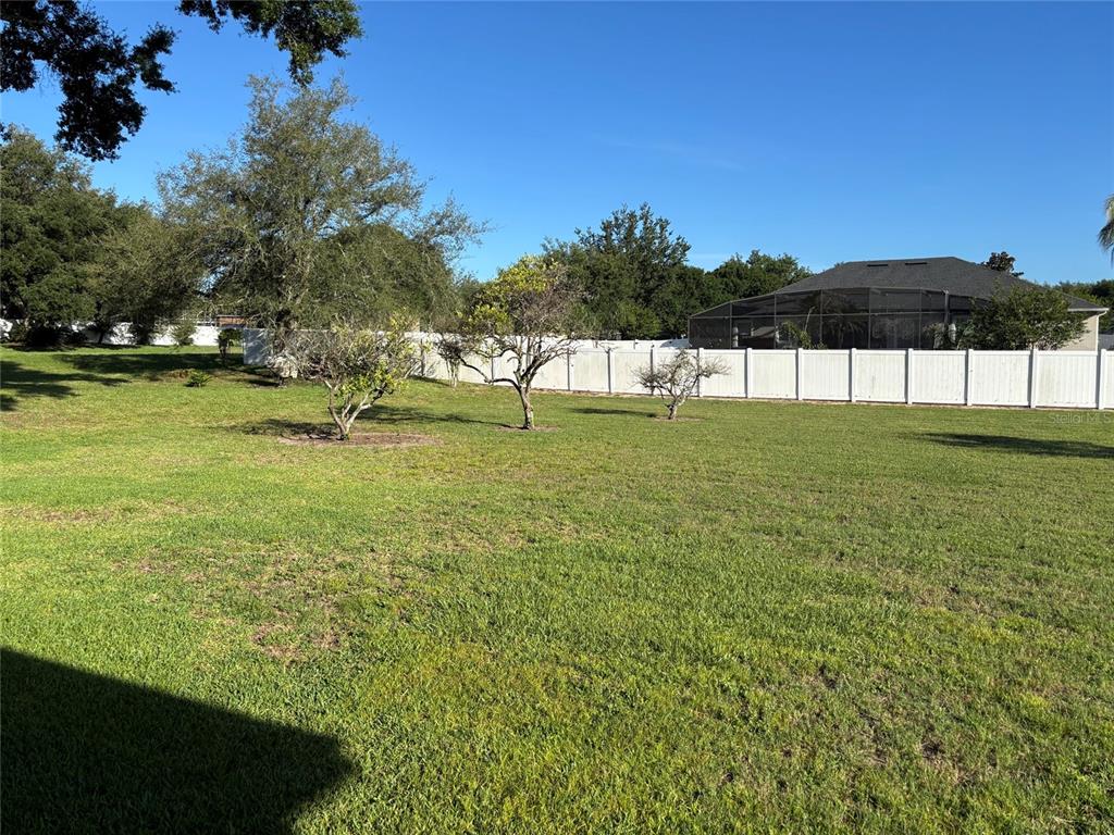 561 Strathclyde Court Apopka, FL 32712 - Photo 23 of 24