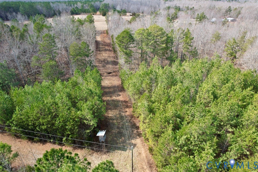 1225 Beech Forest Road Kenbridge, VA 23944 - Photo 21 of 33 a view of a garden with a bench