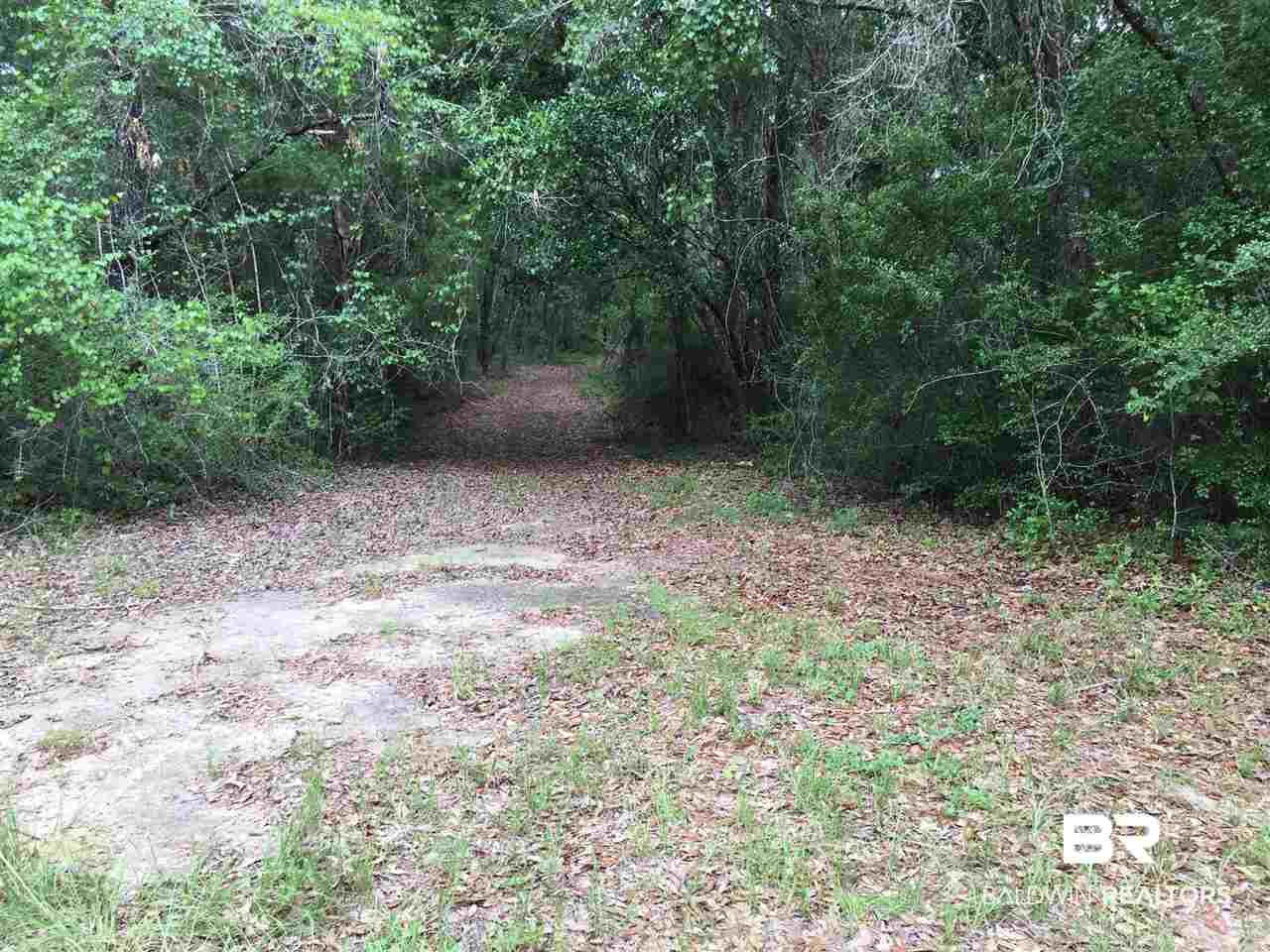 0 New Hope Church Road Robertsdale, AL 36567 - Photo 6 of 17