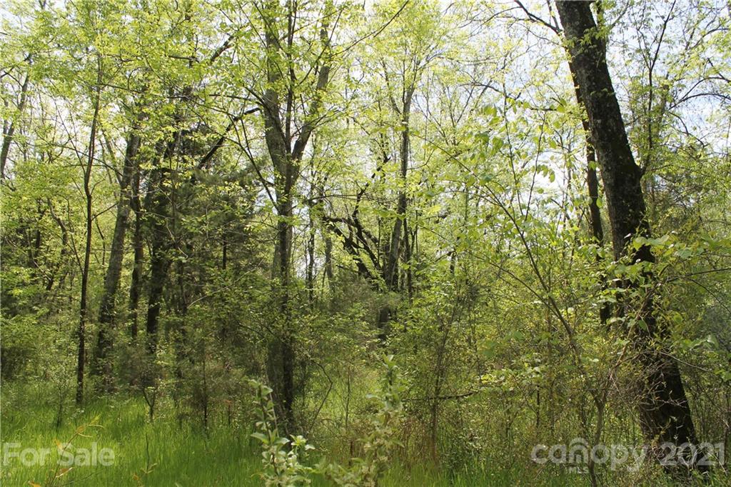 4 Caroline Acres Road Indian Land, SC 29707 - Photo 3 of 3 a view of a yard