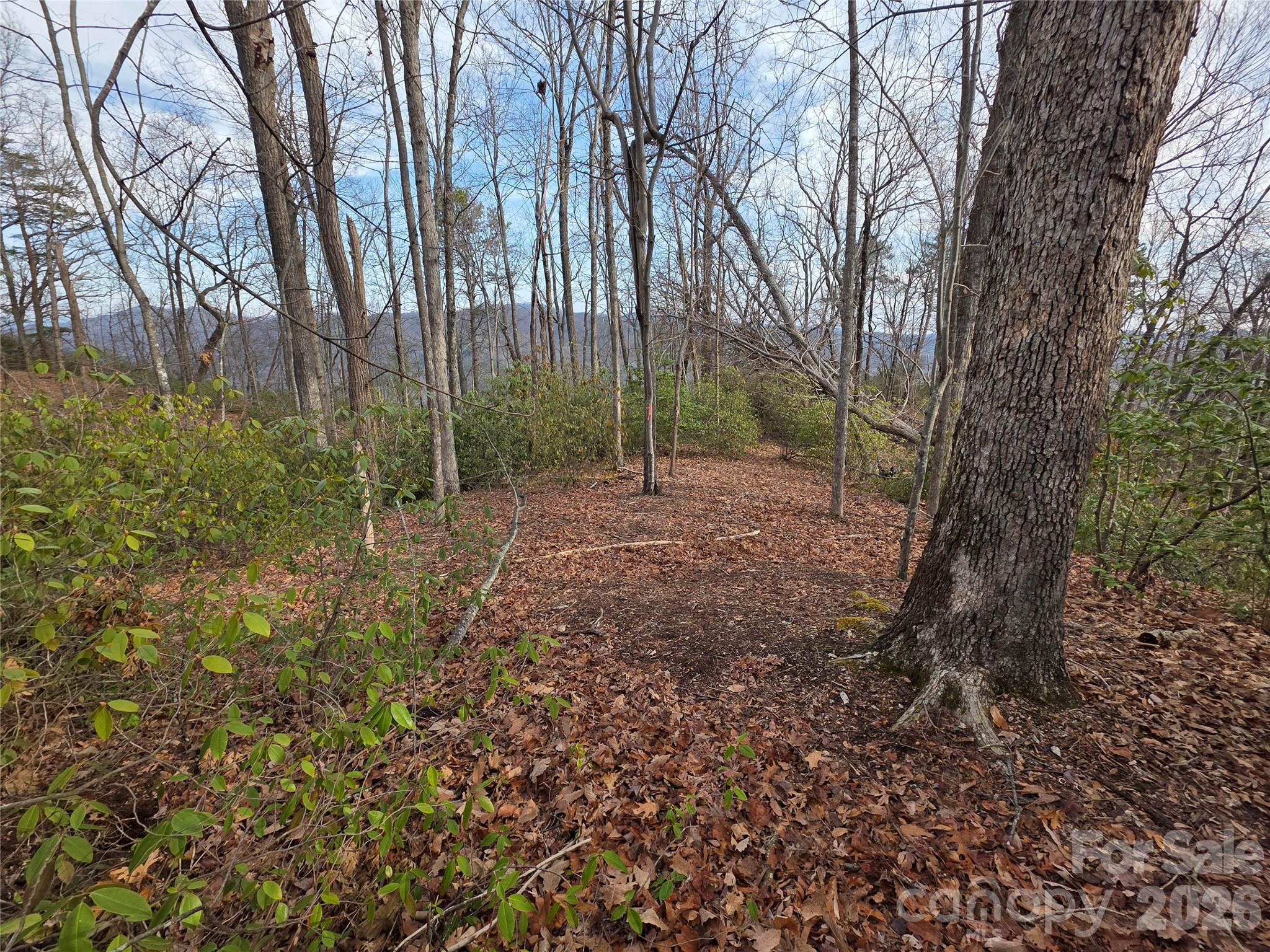 Lot 45 Ridgecrest Drive Lake Lure, NC 28746 - Photo 2 of 18