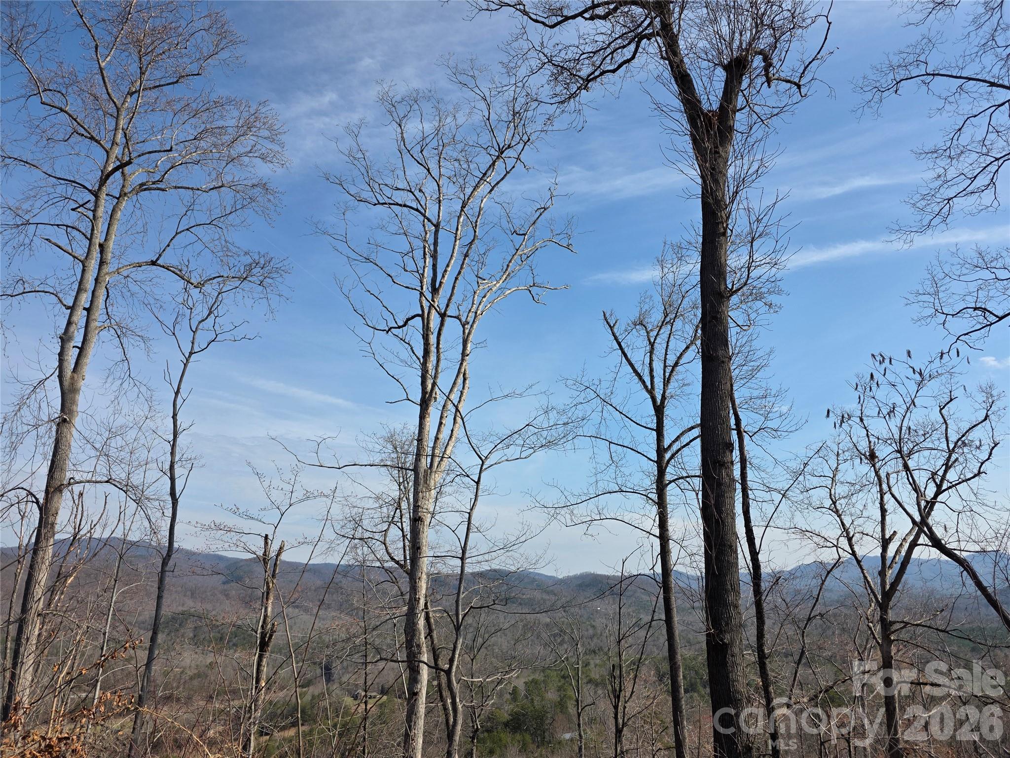 Lot 45 Ridgecrest Drive Lake Lure, NC 28746 - Photo 4 of 18