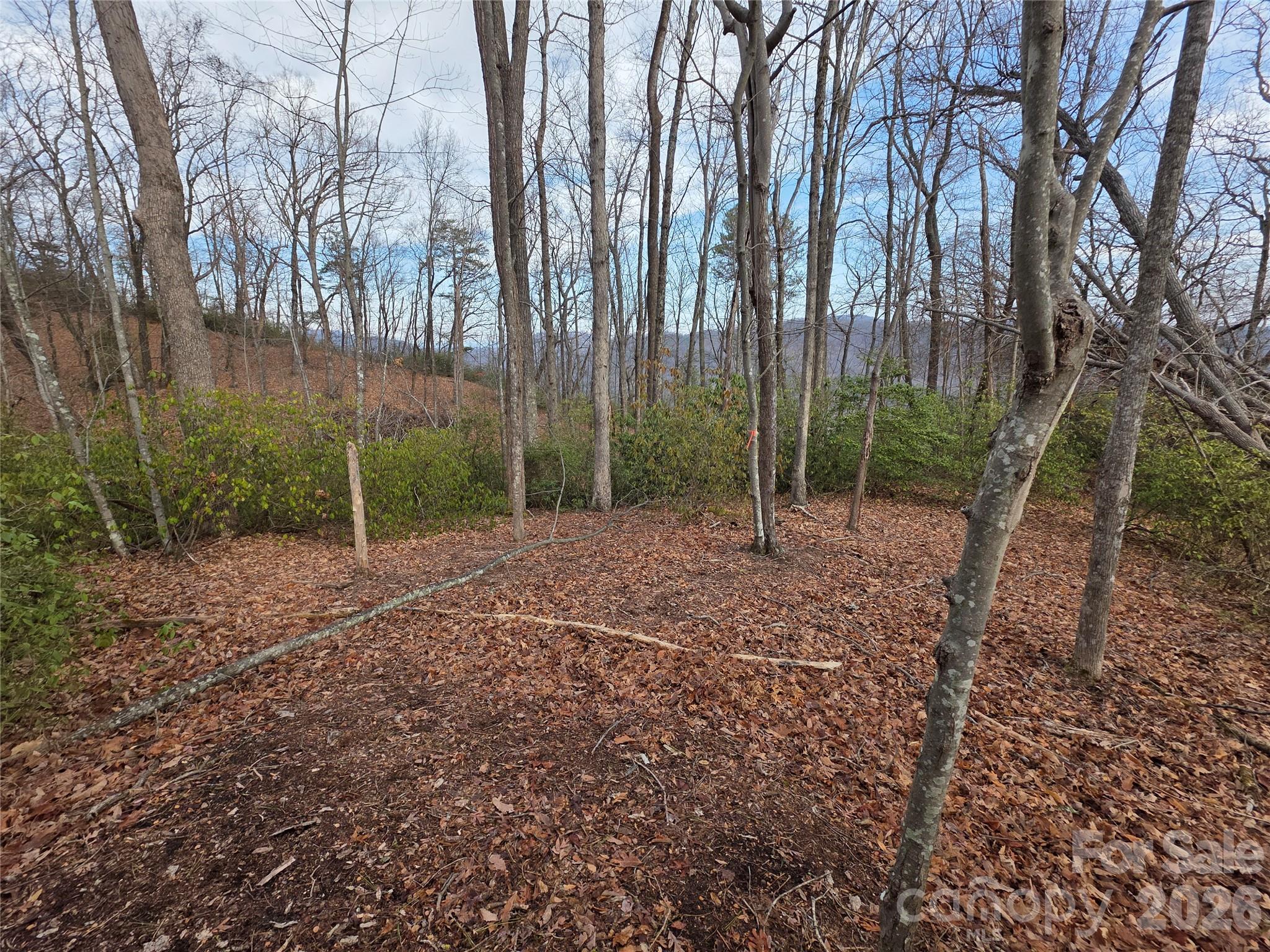 Lot 45 Ridgecrest Drive Lake Lure, NC 28746 - Photo 5 of 18