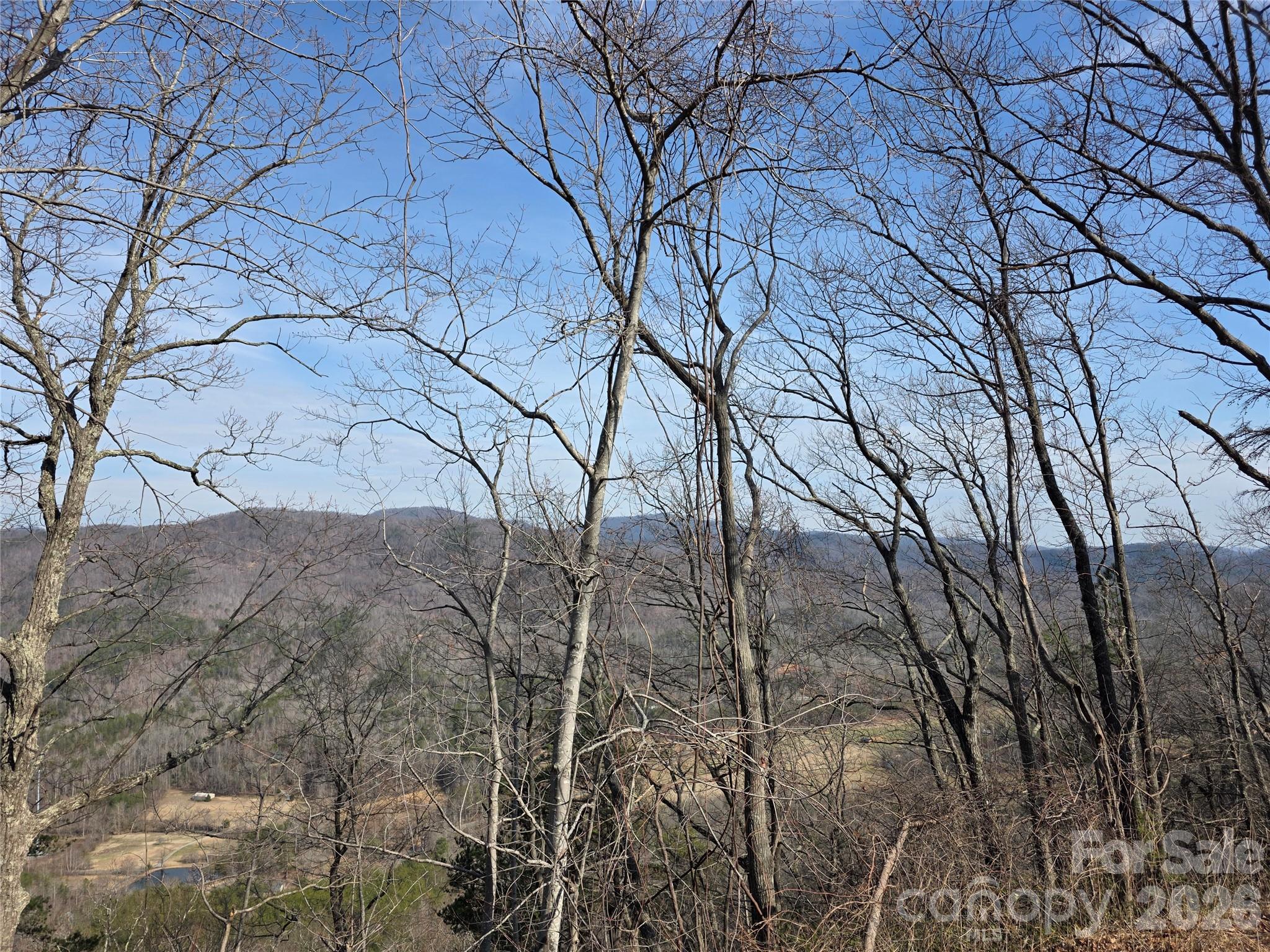 Lot 45 Ridgecrest Drive Lake Lure, NC 28746 - Photo 6 of 18