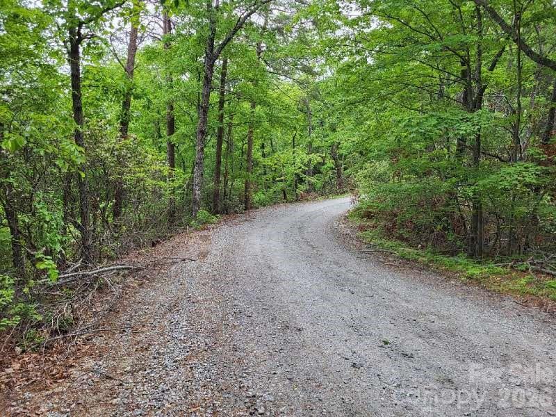 Lot 45 Ridgecrest Drive Lake Lure, NC 28746 - Photo 8 of 18
