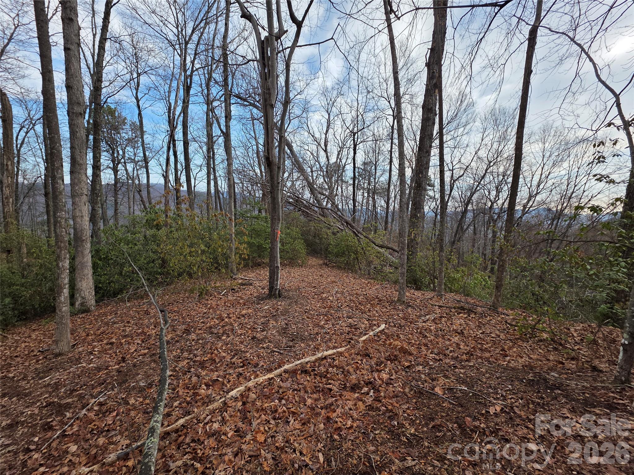 Lot 45 Ridgecrest Drive Lake Lure, NC 28746 - Photo 9 of 18