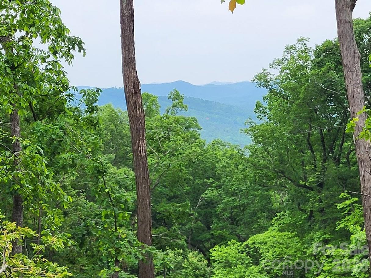 Lot 45 Ridgecrest Drive Lake Lure, NC 28746 - Photo 10 of 18