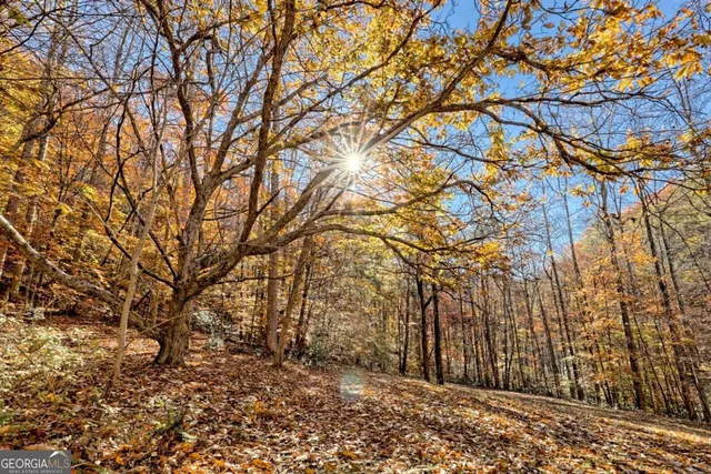 a backyard of a house with lots of trees