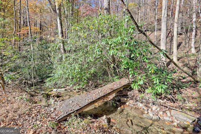 a view of a yard with a tree