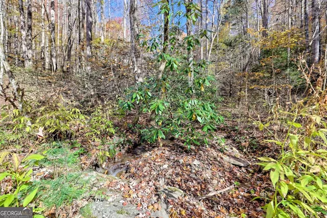 $745,000 | 1307 Clear Creek Road, Hayesville, NC 28904