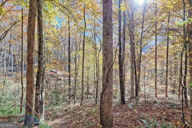 $745,000 | 1307 Clear Creek Road, Hayesville, NC 28904