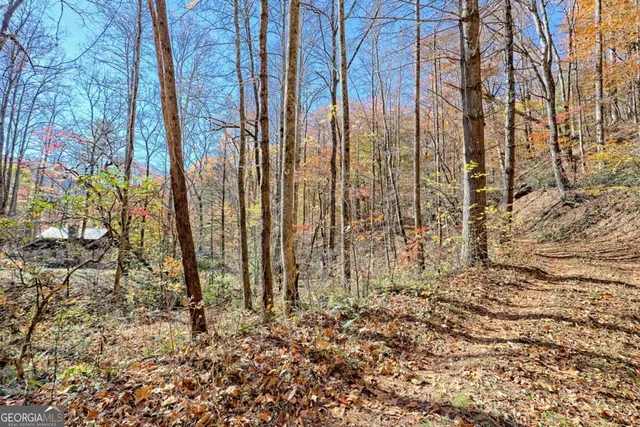 $745,000 | 1307 Clear Creek Road, Hayesville, NC 28904