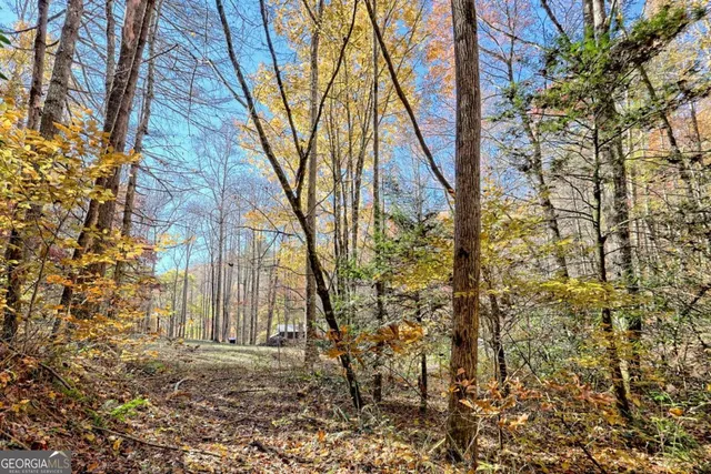 $745,000 | 1307 Clear Creek Road, Hayesville, NC 28904