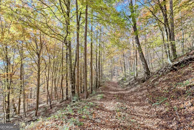 $745,000 | 1307 Clear Creek Road, Hayesville, NC 28904