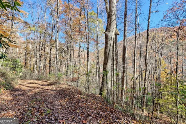 $745,000 | 1307 Clear Creek Road, Hayesville, NC 28904