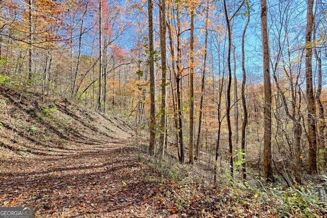 $745,000 | 1307 Clear Creek Road, Hayesville, NC 28904