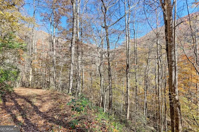$745,000 | 1307 Clear Creek Road, Hayesville, NC 28904