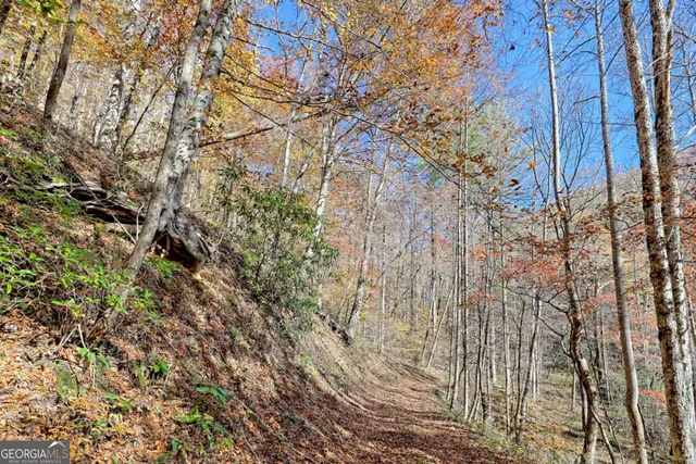 $745,000 | 1307 Clear Creek Road, Hayesville, NC 28904