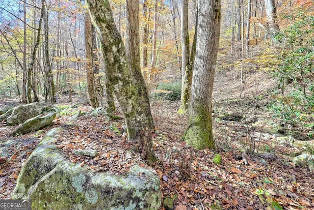 a view of a house with a yard and wooden fence