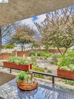 a view of backyard with table and chairs and potted plants