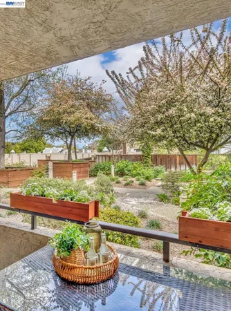 a view of backyard with table and chairs and potted plants