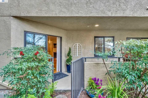 a view of backyard with a table and chairs and potted plants