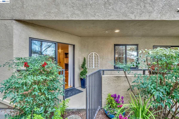 a view of backyard with a table and chairs and potted plants