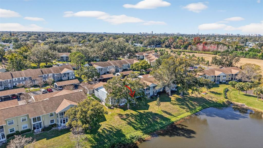 1438 Millstream Lane, Unit 105 Dunedin, FL 34698 - Photo 29 of 34