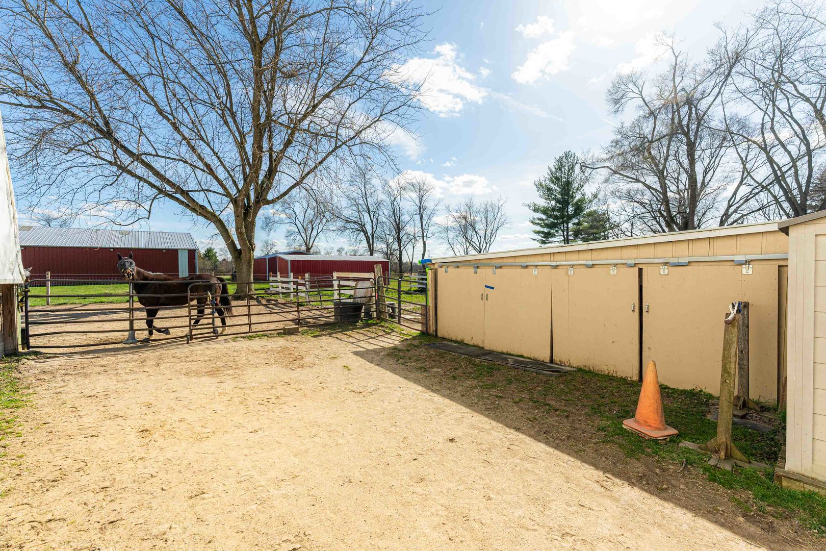 4N681 Munger Road Wayne, IL 60184 - Photo 48 of 67 a view of a backyard with a large tree