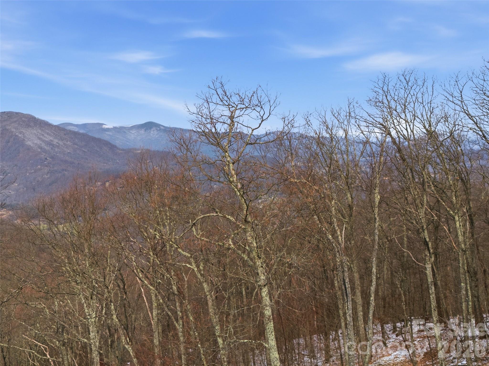 301 Awohali Trail Maggie Valley, NC 28751 - Photo 17 of 31 a view of a backyard of a house with a mountain